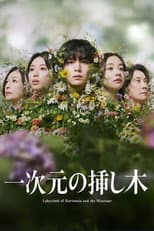 Labyrinth of Hortensia and the Minotaur
