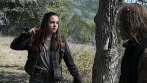Capitulo 7
