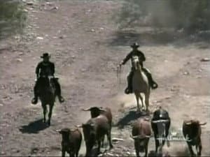 Capitulo 7