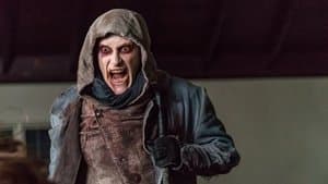 Capitulo 5