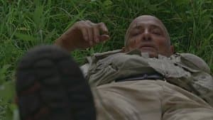 Capitulo 4