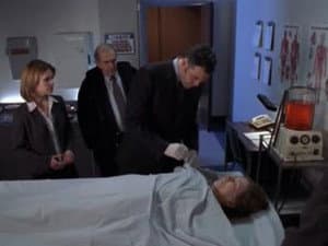 Capitulo 7
