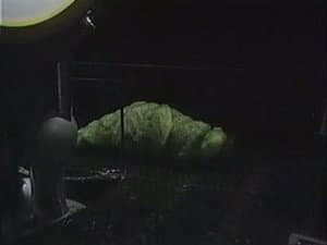 Capitulo 6
