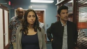 Capitulo 7
