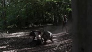 Capitulo 5
