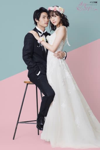 Shanai Marriage Honey 1