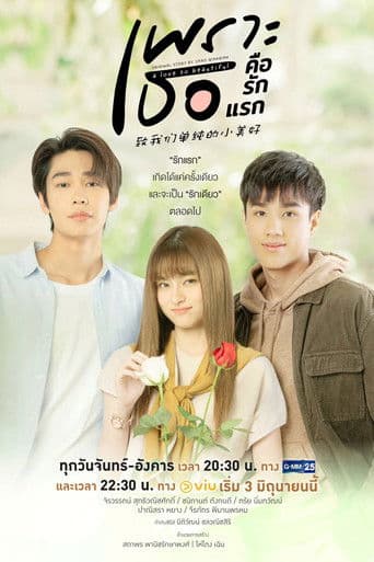 A Love So Beautiful - Thai